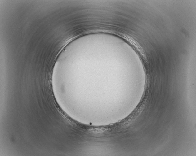 X0000115441185200912161448