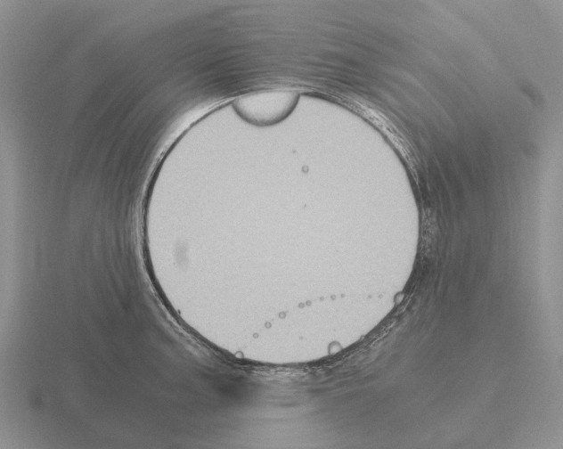 X0000115441187200912161448