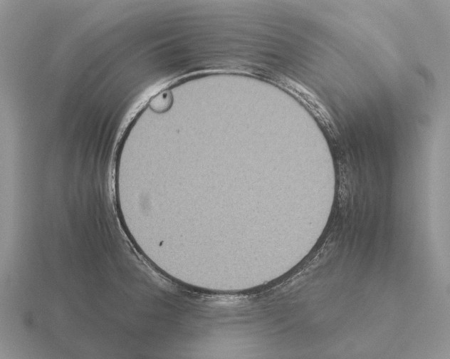 X0000115441188200912161448