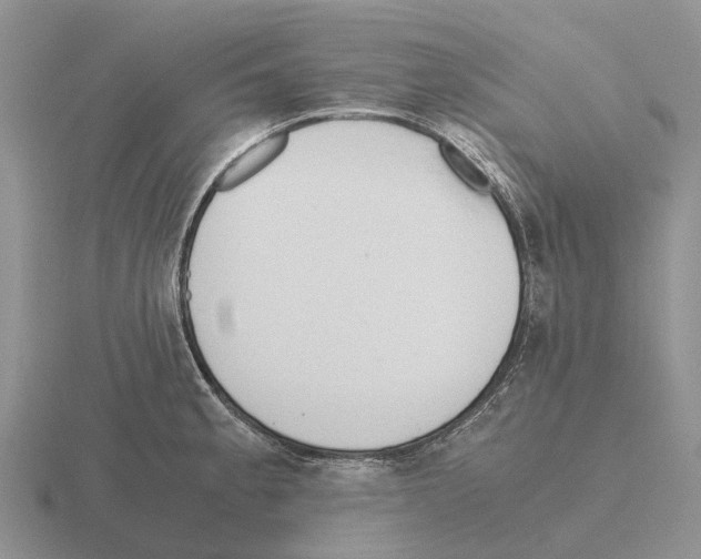 X0000115441189200912161448