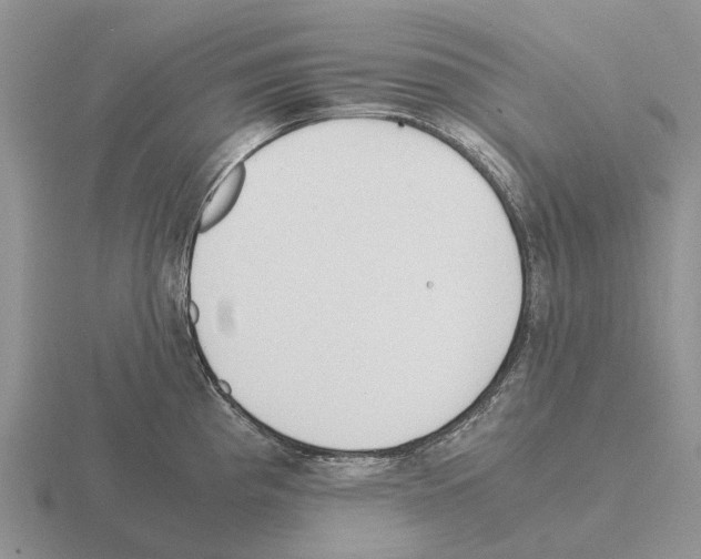 X0000115441193200912161448