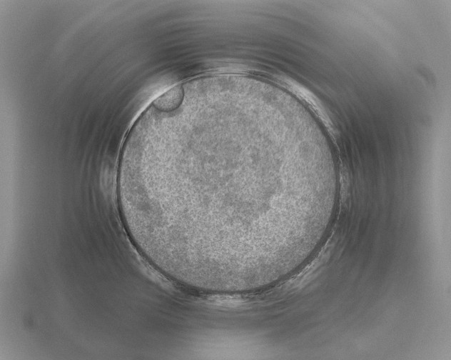 X0000115441194200912161448