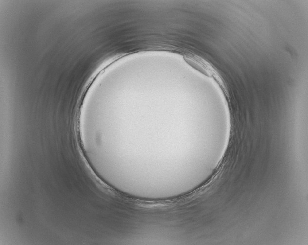 X0000115441195200912161448