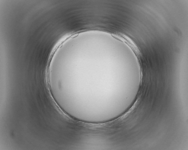 X0000115441196200912161448