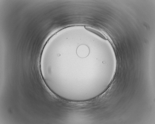 X0000115441197200912161448