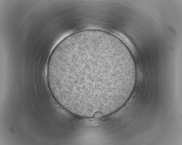 X0000115441198200912161448