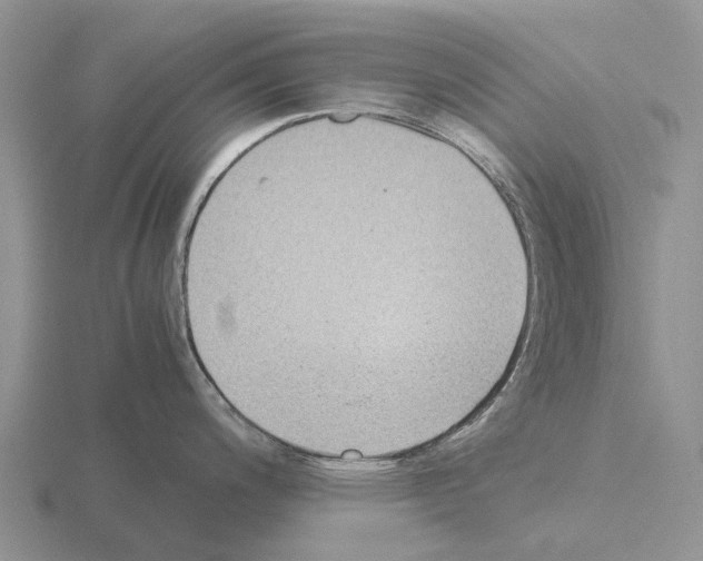 X0000115441200200912161448