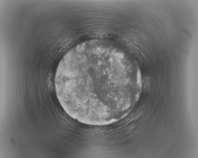 X0000115441202200912161447