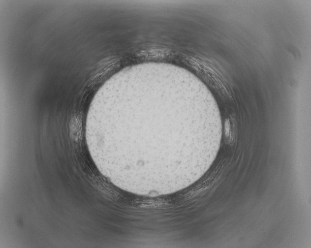 X0000115441203200912161447