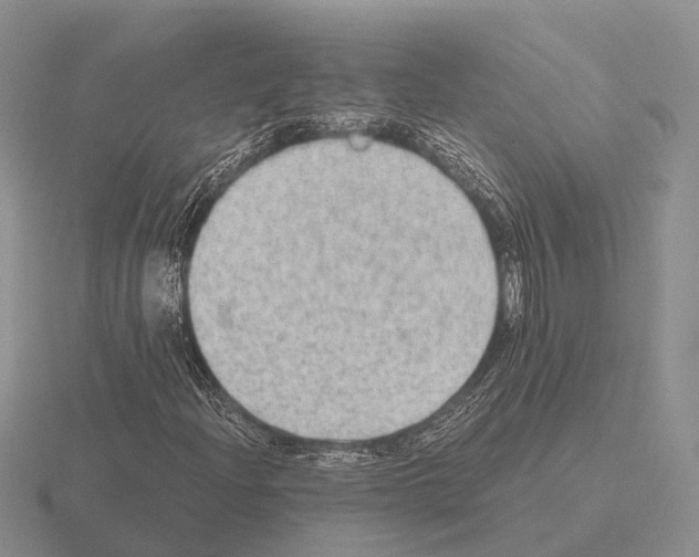 X0000115441204200912161447