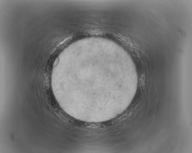 X0000115441205200912161447