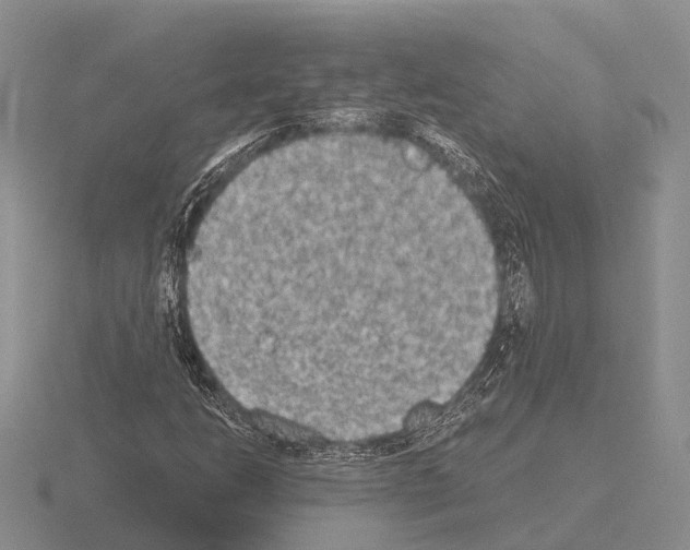 X0000115441206200912161447