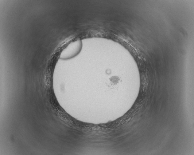 X0000115441207200912161447