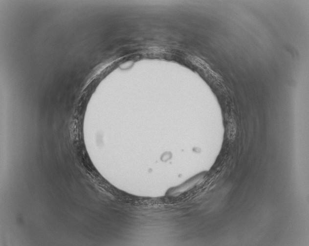 X0000115441208200912161447