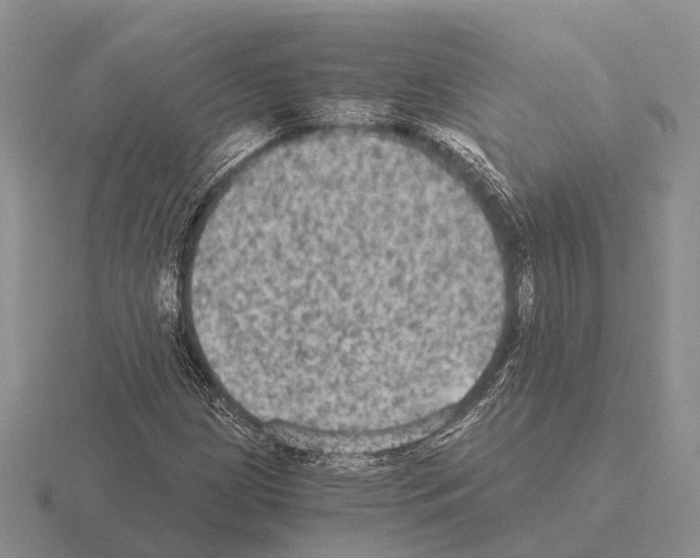 X0000115441209200912161447