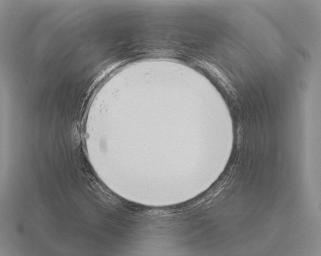 X0000115441212200912161447