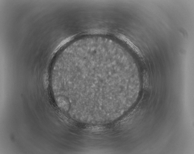 X0000115441213200912161447