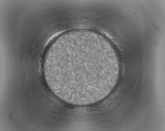 X0000115441214200912161447