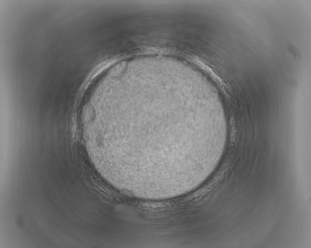 X0000115441215200912161447