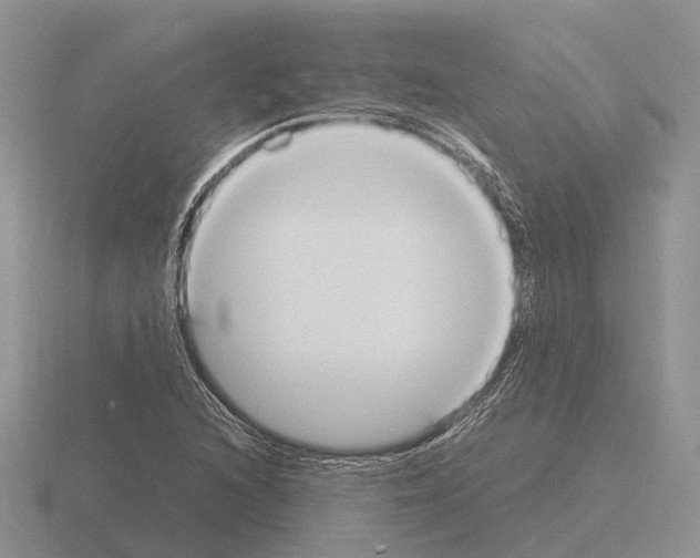 X0000115441216200912161447