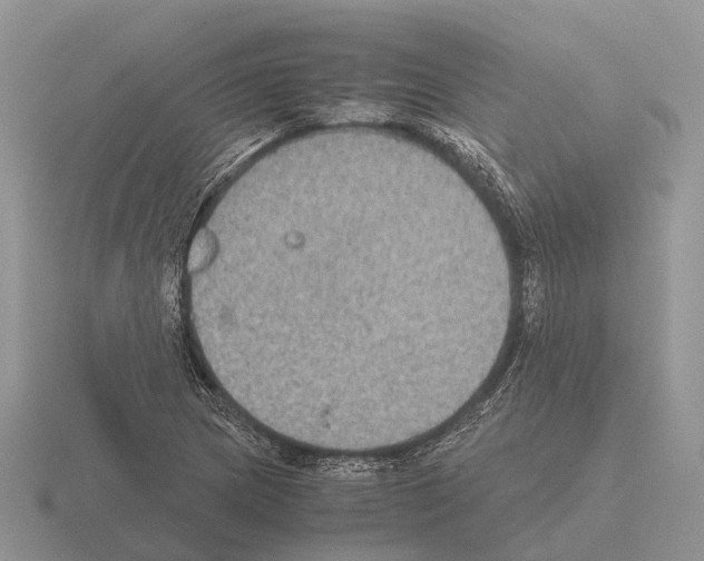 X0000115441217200912161447