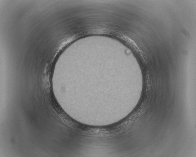 X0000115441218200912161447