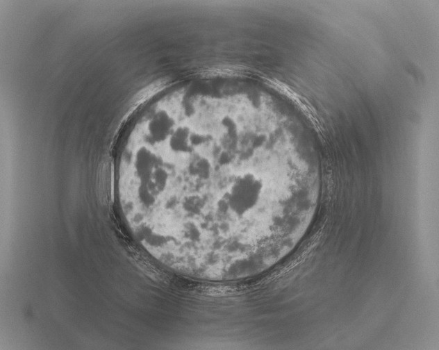 X0000115441219200912161447