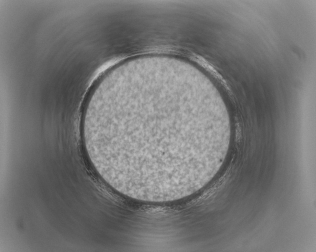 X0000115441222200912161447