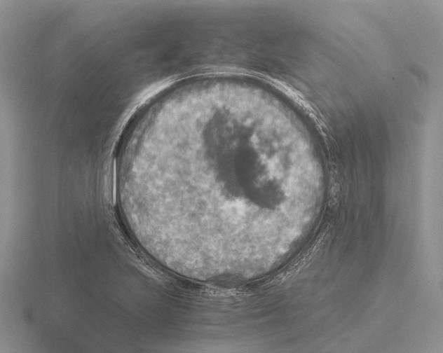 X0000115441223200912161448