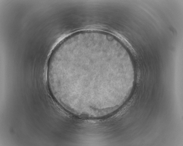 X0000115441224200912161448