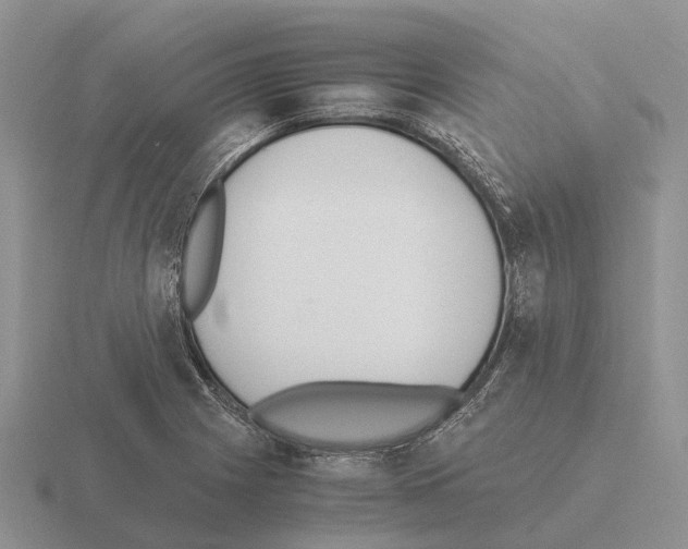 X0000115441225200912161448