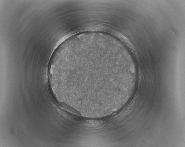 X0000115441226200912161448