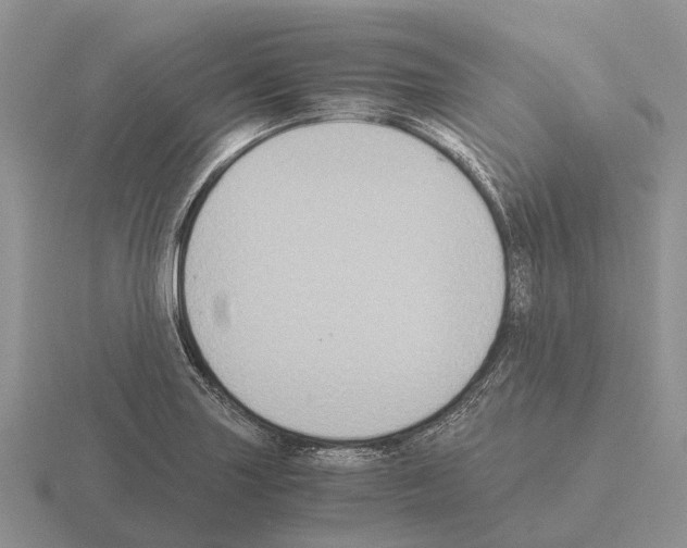 X0000115441227200912161448