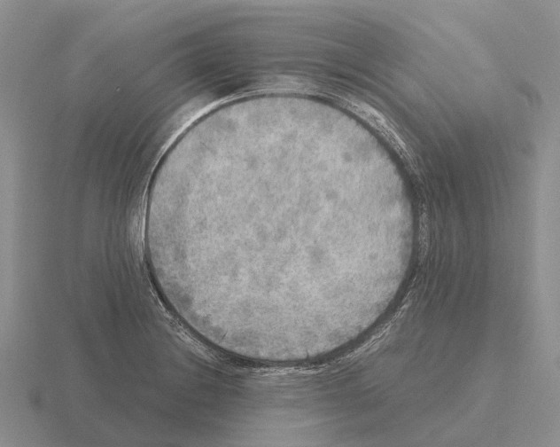 X0000115441228200912161448