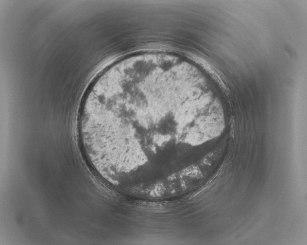 X0000115441229200912161448