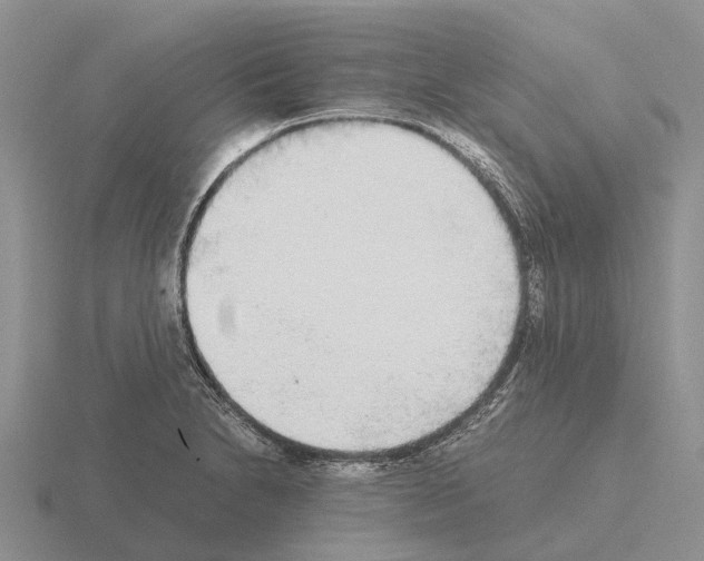 X0000115441230200912161448