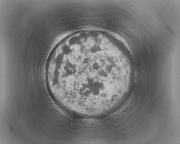 X0000115441231200912161448