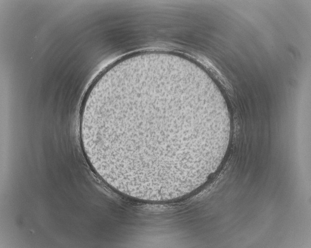 X0000115441232200912161448