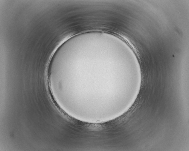 X0000115441235200912161448