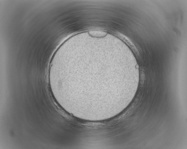 X0000115441236200912161448