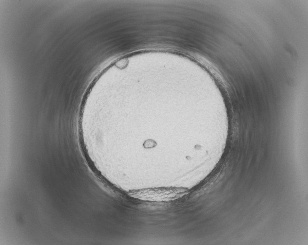 X0000115441237200912161448