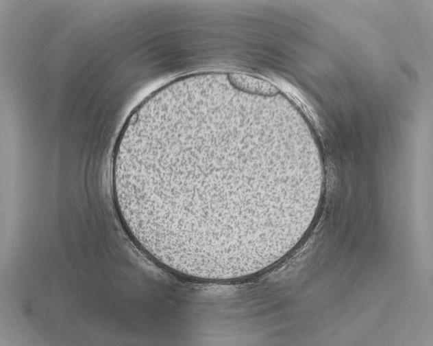 X0000115441238200912161448