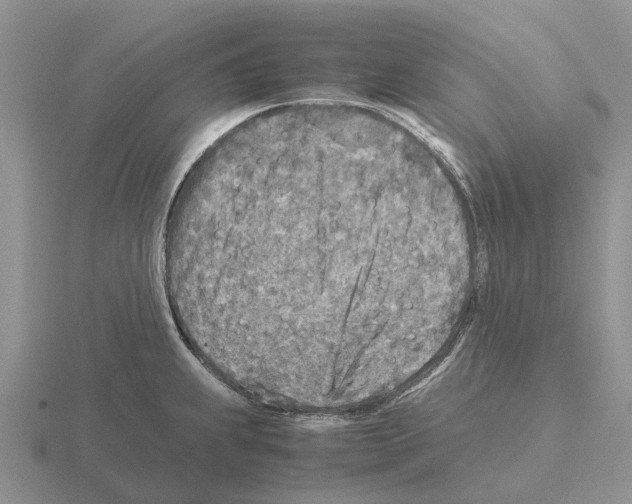 X0000115441239200912161448