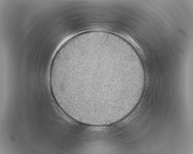 X0000115441240200912161448