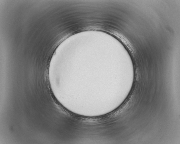 X0000115441241200912161448