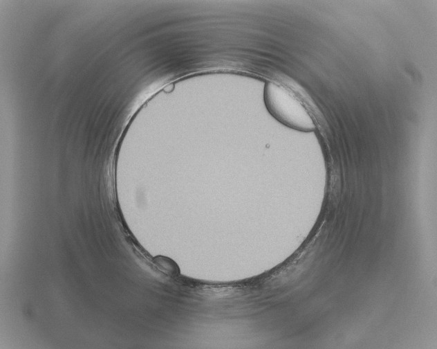 X0000115441242200912161448