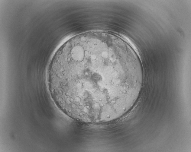 X0000115441243200912161448