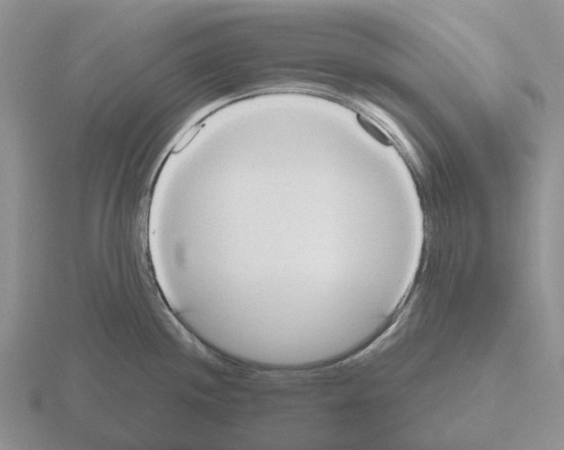 X0000115441244200912161448