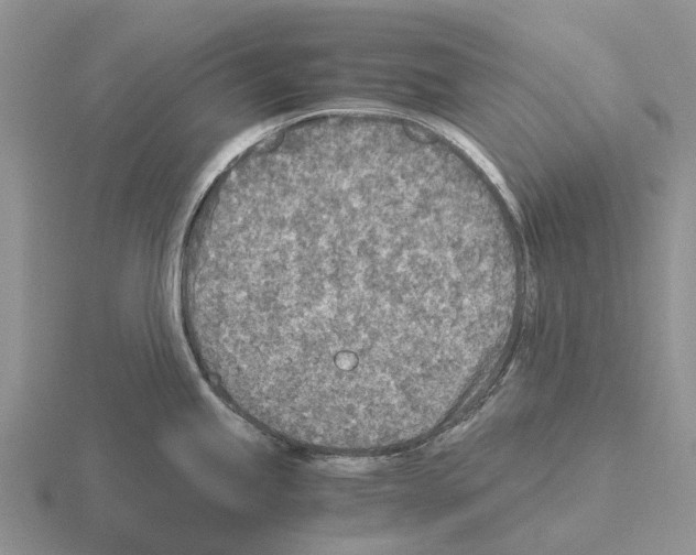 X0000115441245200912161448