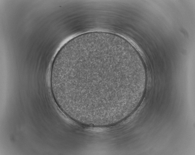 X0000115441246200912161448